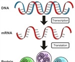 A Guide to Understanding Gene Expression