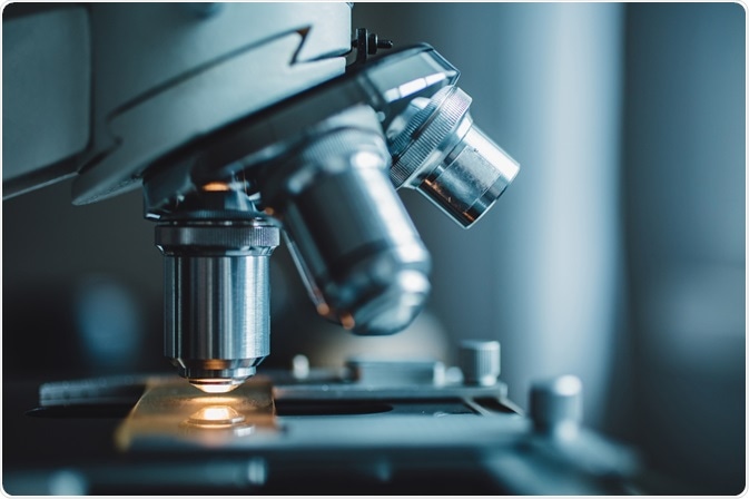 Microscopy Microscopy