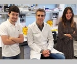 Clinical efficacy of CAR-T cells depends on chemical modifications, says study