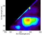 Researchers devise simple and rapid method for detecting bovine amyloid