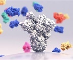 Study identifies highly potent monoclonal antibody against all SARS-CoV-2 variants