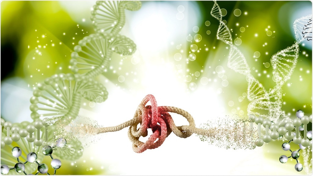 Study pinpoints the mutational hotspots in DNA