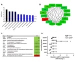 Research reveals involvement of secretory granules in Parkinson’s disease