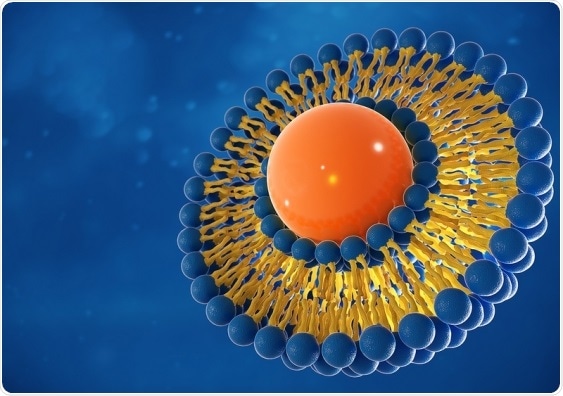 Experts discover effective means to design and build DNA nanostructures