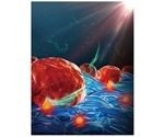 Experts use photothermal nanofibers for the safe engineering of therapeutic cells