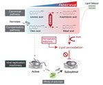 High levels of polyunsaturated fatty acids in liver cells linked to hepatitis C virus resistance