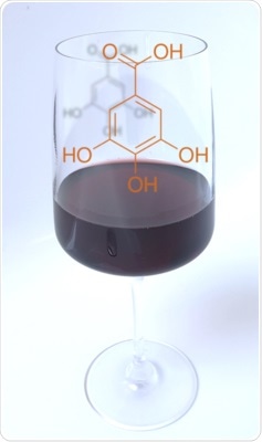 Gallic acid regulates gastric acid secretion by activating bitter taste receptor