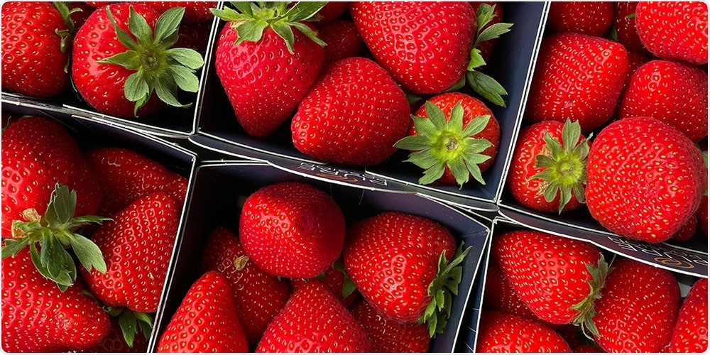 Novel cost-effective model helps ascertain the origin of food