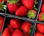 Novel cost-effective model helps ascertain the origin of food