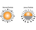 Researchers develop a novel sensor to detect chemical changes in immune cells