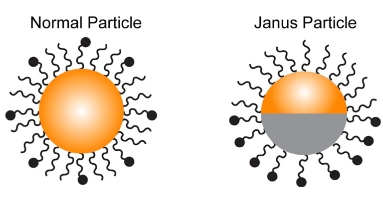 Researchers develop a novel sensor to detect chemical changes in immune cells