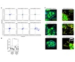 Study explores the effects of epigenetic editing in various tumor settings