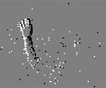 Neuronal variability boosts learning and performance, says research