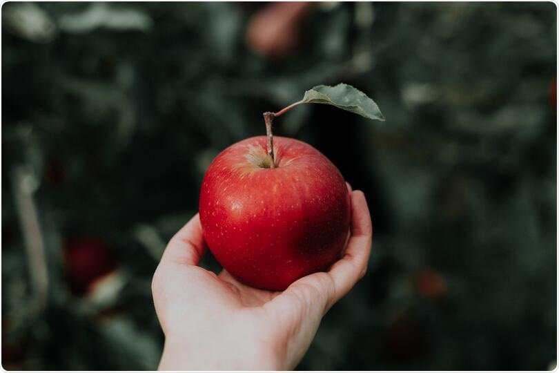 Researchers reveal the phenomenon behind apple’s cusp formation