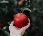 Study reveals the phenomenon behind apple’s cusp formation
