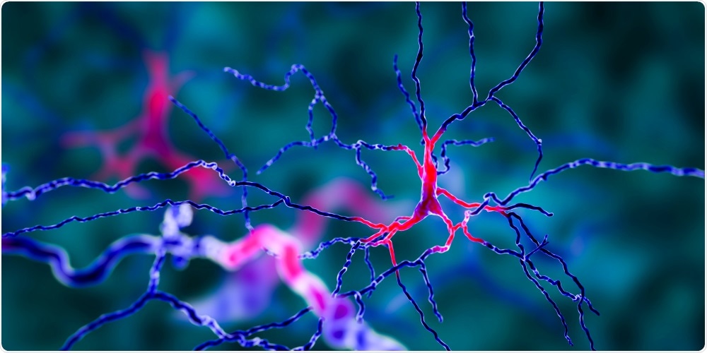 Neurodegeneration Neurodegeneration
