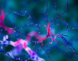 Viral diseases likely to contribute to neurodegeneration, says study