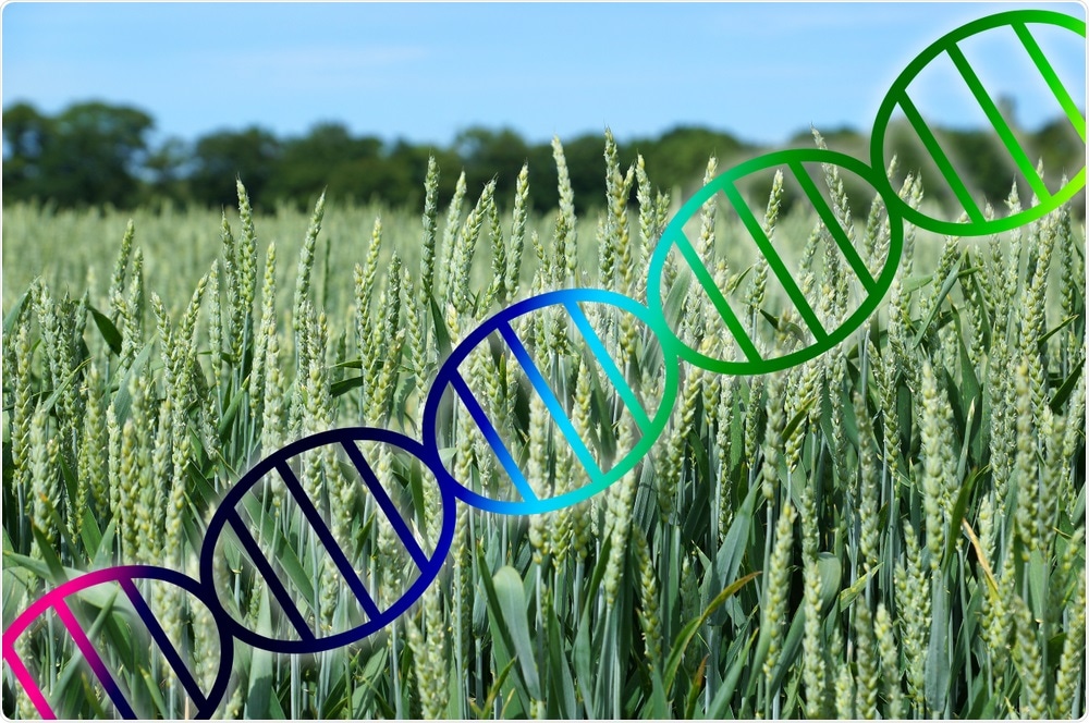 Gene-Edited Crops Gene-Edited Crops
