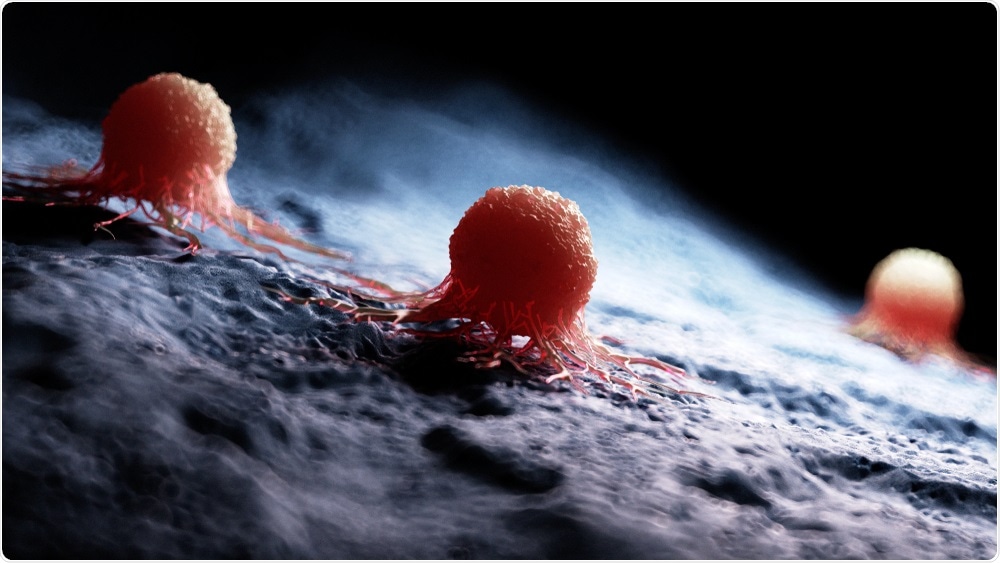 Cancer Cells Cancer Cells