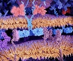 What are Chimeric Proteins?