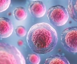 Researchers detail novel mechanism on muscle regeneration
