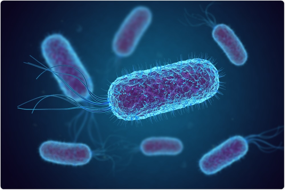 E.Coli Bacteria E.Coli Bacteria
