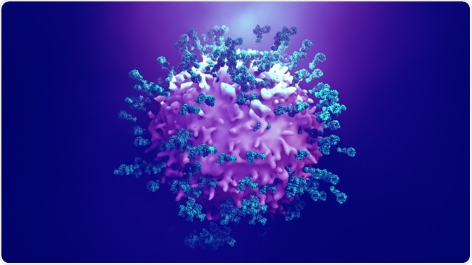Antibodies attacking cancer cell Antibodies attacking cancer cell