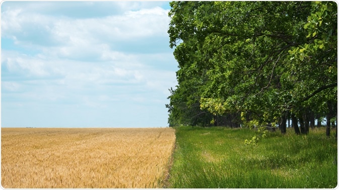 Regenerative Agriculture Regenerative Agriculture