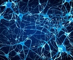Gene therapy turns glial brain cells into neurons, restores visual function