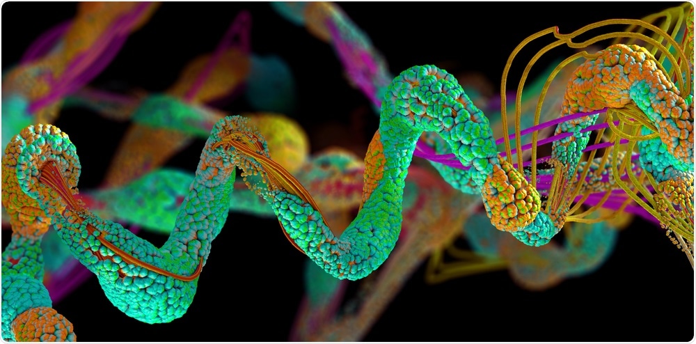 Protein Chain Protein Chain