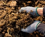 Treating Manure to Save the Planet