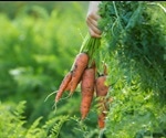 Organic vs Inorganic Farming