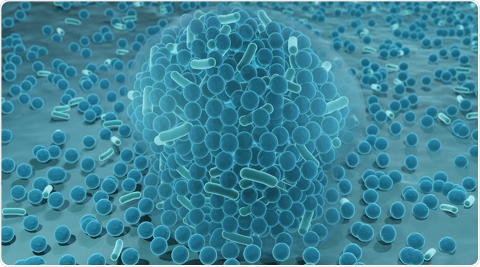 Biofilm Biofilm