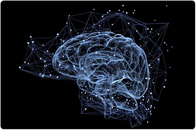 Neuroimmunology Concept Neuroimmunology Concept