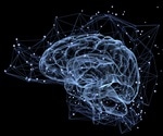 What is Neuroimmunology?