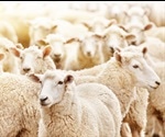 Does the Future of Farming Involve the Gene Editing of Farm Animals?