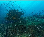 Illegal Fishing and Its Impacts on Conservation and Fisheries