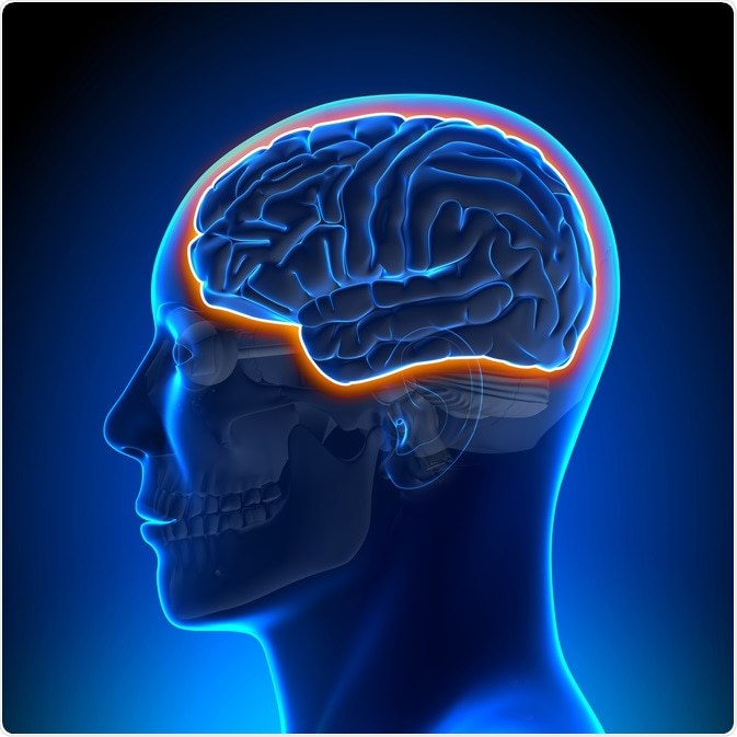 Blood Brain Barrier Blood Brain Barrier