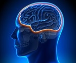 Can Antibodies Cross the Blood-Brain Barrier?