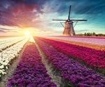 How is the Flower Industry Impacting the Planet?