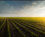 Digital Drone: New Technology to Improve Crop Yields