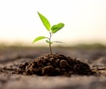 Study finding helps comprehend how mechanical forces affect plant cell growth