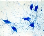 Cell Staining Techniques