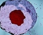 Highly Efficient Exosome Isolation & Purification Tools