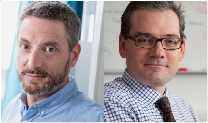 New technique anticipated to deliver personalized immunotherapies for cancer