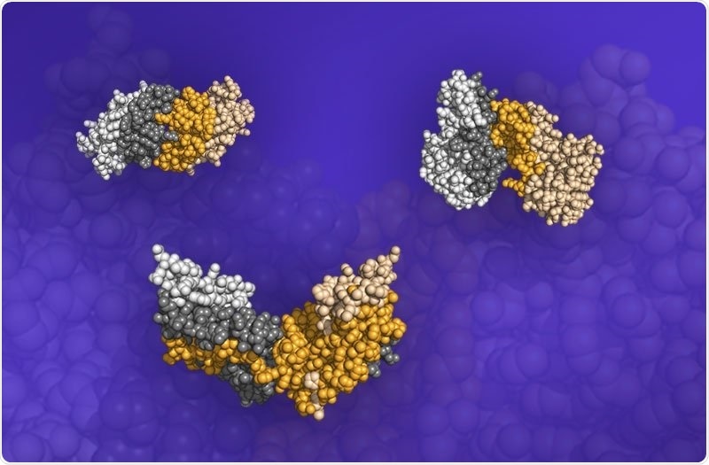 Researchers predict protein binding based on shape using fastest supercomputer