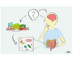 Microbiome differences in autism reflect dietary preferences, says study