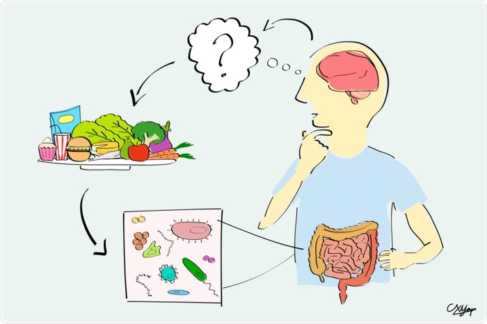 Microbiome differences in autism reflect dietary preferences, says study