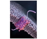 Artificial nanopores enable single molecule-sorting of genetic material