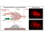 Study results facilitate construction of complex nanoscale computing agents
